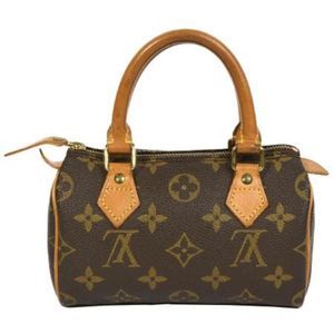 Louis Vuitton Mini Speedy Monogram Handbag Pouch